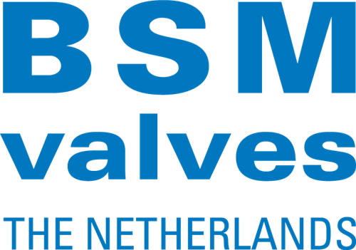 BSM Valves