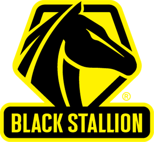 Black Stallion