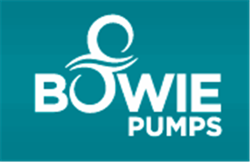 Bowie Pumps