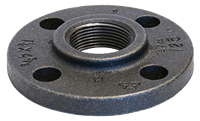 1011 CI Companion Flange