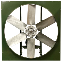 CBCN Wall Fan