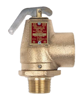 10-100 / 300 Series Safety Relief Valves