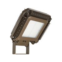 Emerson Appleton LED Luminair