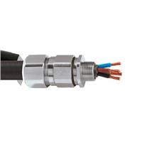 Appleton™ C2KX Marine Cable Connectors