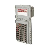 Appleton™ D2P and EWP Factory Sealed Circuit Breaker Panelboards