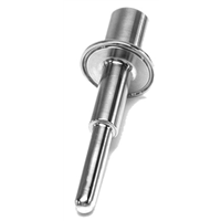 Ashcroft Sanitary Thermowell