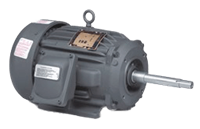 Explosion-Proof Pump Motors