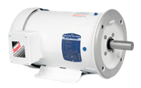 White Washdown Motors