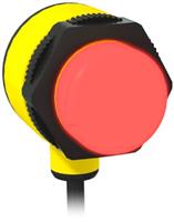 T30 Series General-Purpose Indicator