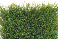 SELKIRK ELITE Canada’s Favourite Artificial Grass 