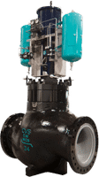 Series EW Globe-Style Valves