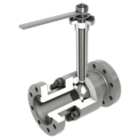 Cameron Cryogenic Ball Valve, 21/18