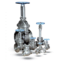 Cameron NEWCO Stainless Steel Gate, Globe and Check Valve