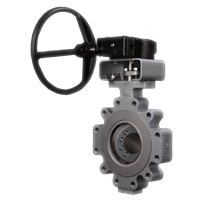 Cameron Triple Offset Valves, WKM Triple Offset