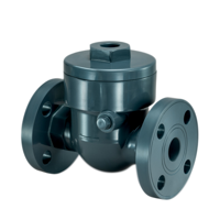 SW Series Swing Check Valves