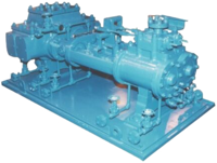 Duplex Direct Acting - Steam Driven Duplex (Direct Acting) Reciprocating Pumps