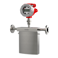 RCT1000 Mass Flow Meter