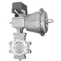 High Performance Butterfly Valves (BHP) 