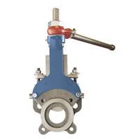 Level Sensor Isolation Valves (KLS) 