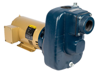 Turf Boss Close-Coupled Self-Priming Pump