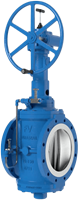 Duraseal Double Block & Bleed Plug Valve