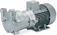 L-BV2 Liquid Ring Vacuum Pumps