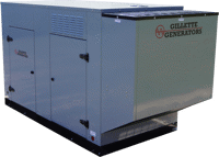 SP-620 Commercial Gas Generator