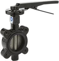 80 & 81 Series Resilient Seated Butterfly Valve