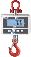 HCD Crane Scale