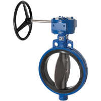 Figure 2000 Butterfly Valve