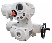 MS Series Electric Actuator