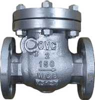 Class 150 Carbon Steel Check Valve #CS150CK