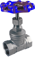 Class 200 Stainless Steel Globe Valve #SS200GL