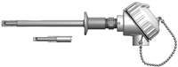 RTDs with CIP Sanitary-Connected Well