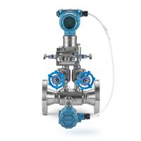 9295 Process Flowmeter