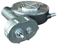 Rotork WG-SS - Stainless Steel Part-Turn Gearbox