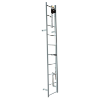 20' Ladder Climb System, Complete Kit