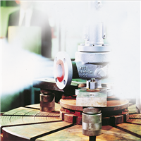Sapag Series 8100/8200 Safety Relief Valves