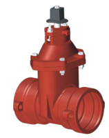  Model 3100 C509 NRS Resilient Wedge Gate Valve