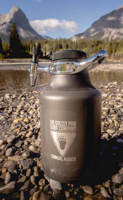 Growlerwerks Ukeg Go