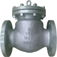 Check Valve