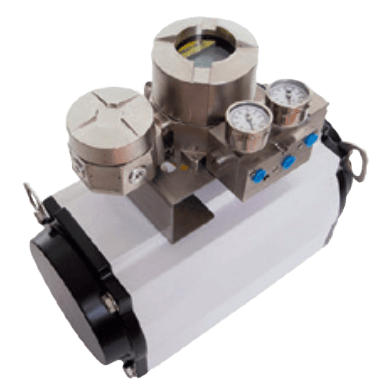 Westlock Controls ICOT 6000 Series ATEX/IEC/INMET | Rust Automation ...