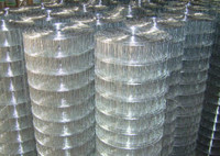 Electro Galvanized Welded Wire Mesh