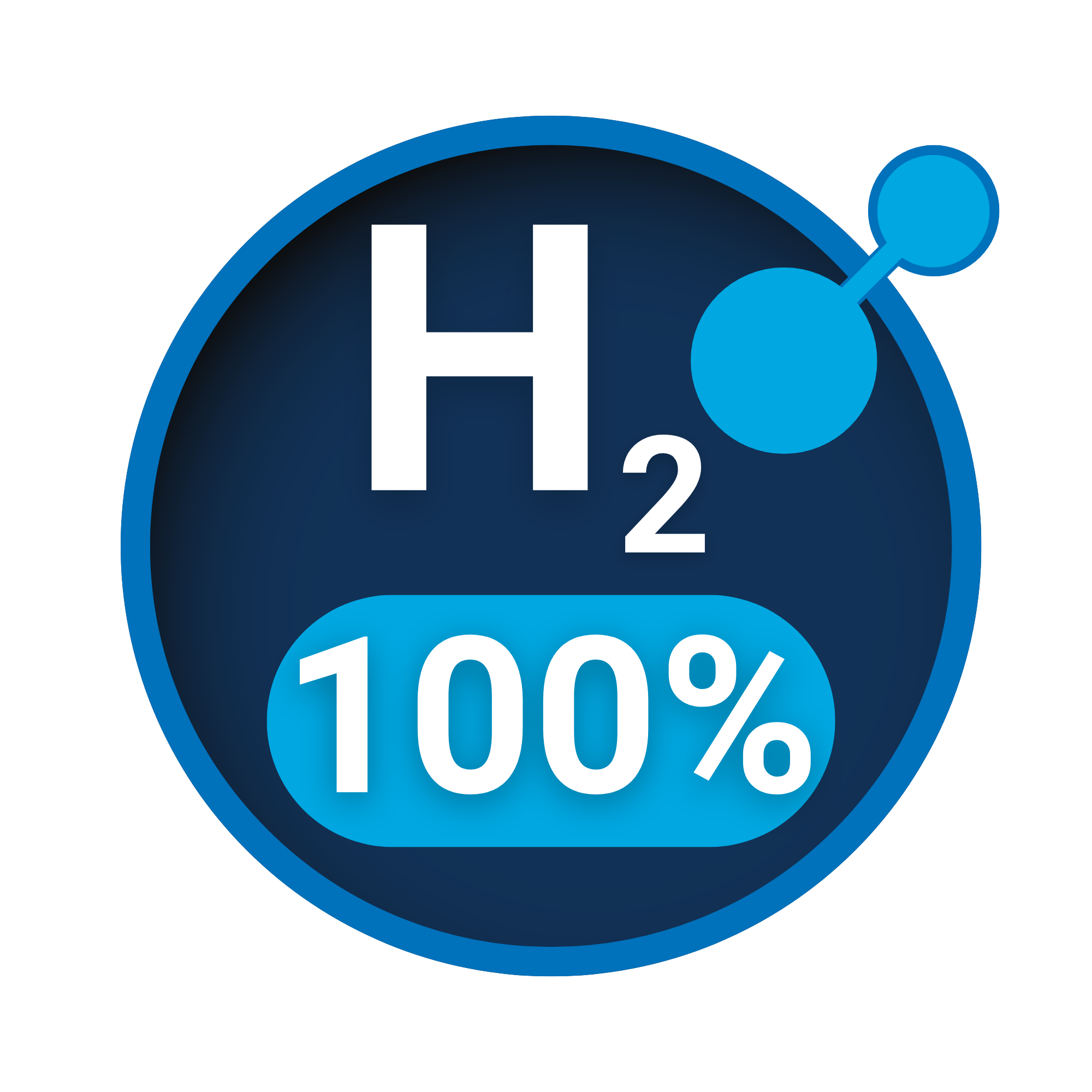 Hydrogen Compatible up to 100%